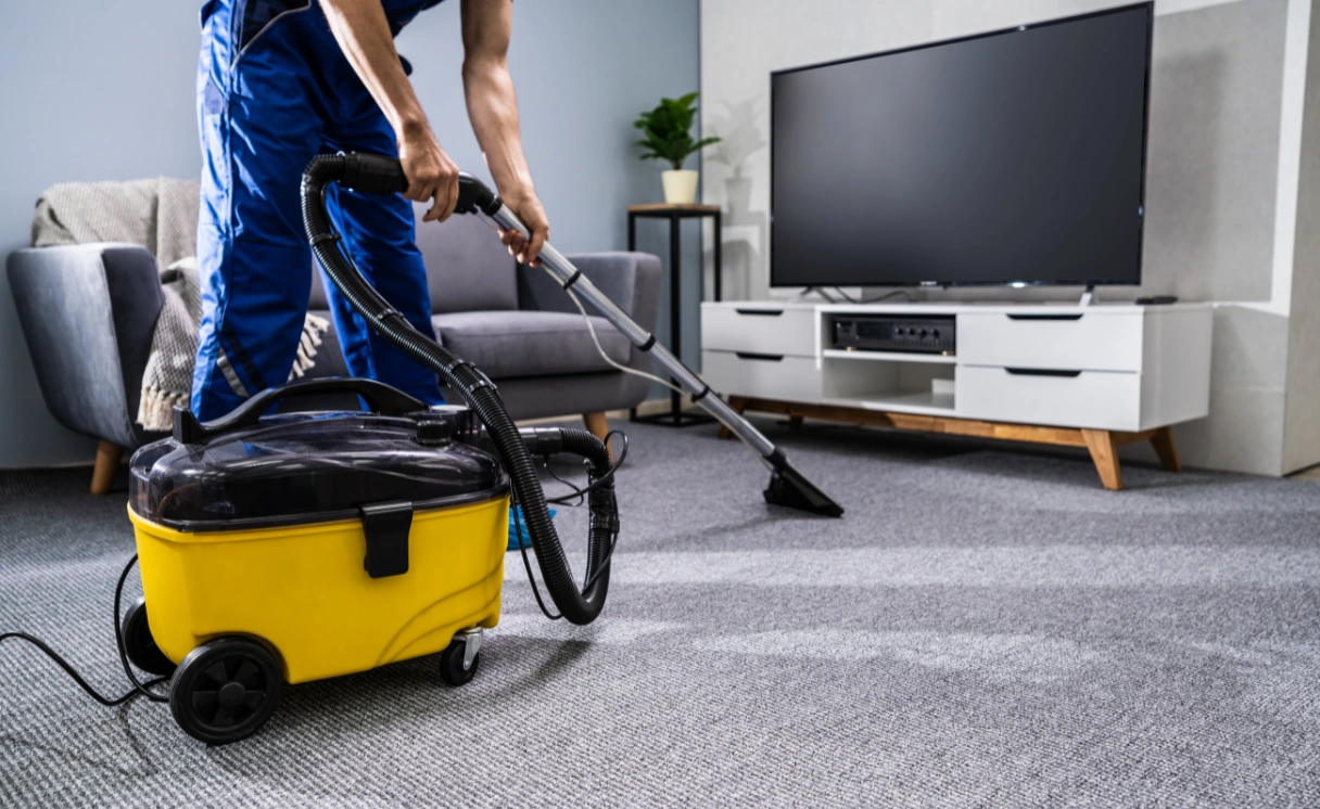 Extract Upholstery Cleaning Tremont Contact Office